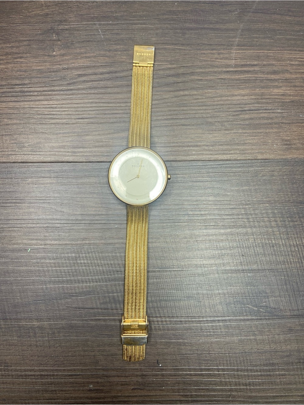 Skagen SKW2243 Womens Watch (unsure if this works)